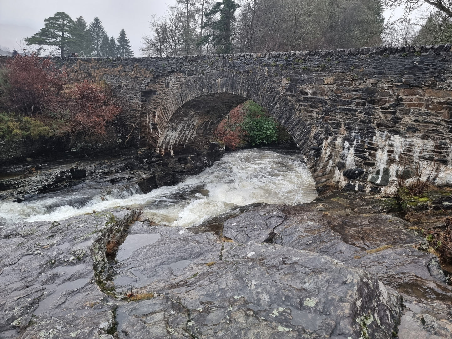 Loch Lomond and The Highlands Day Tour