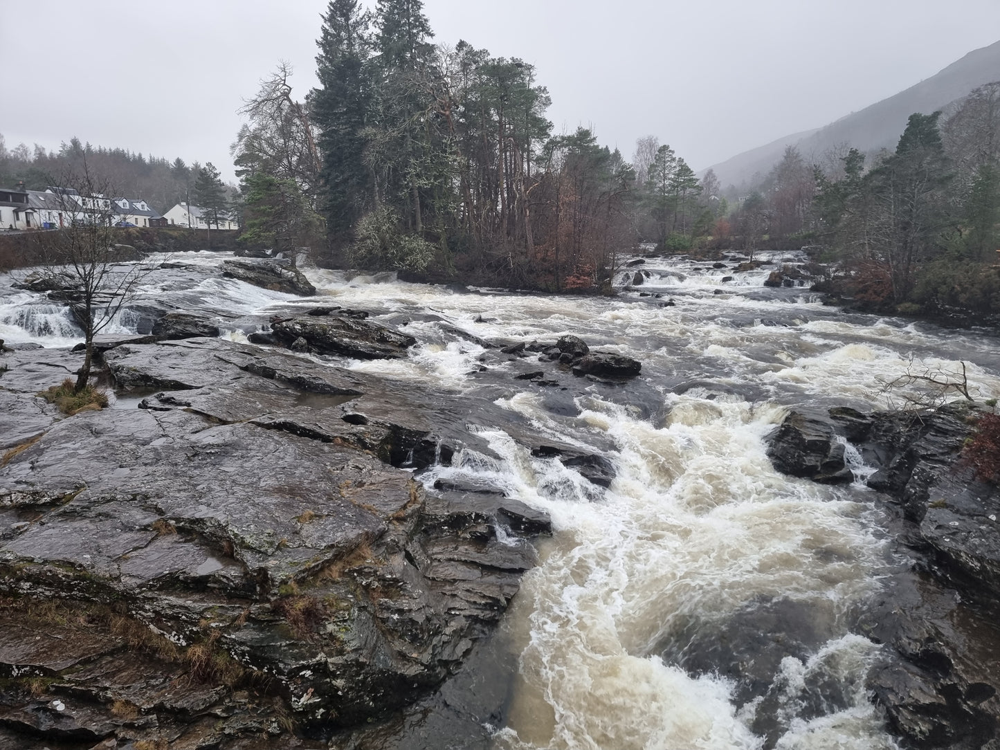 Loch Lomond and The Highlands Day Tour