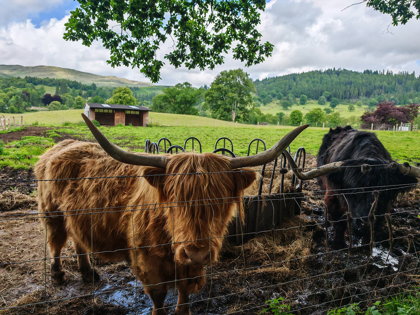 3 Days Tour of Scotland from Edinburgh or Glasgow