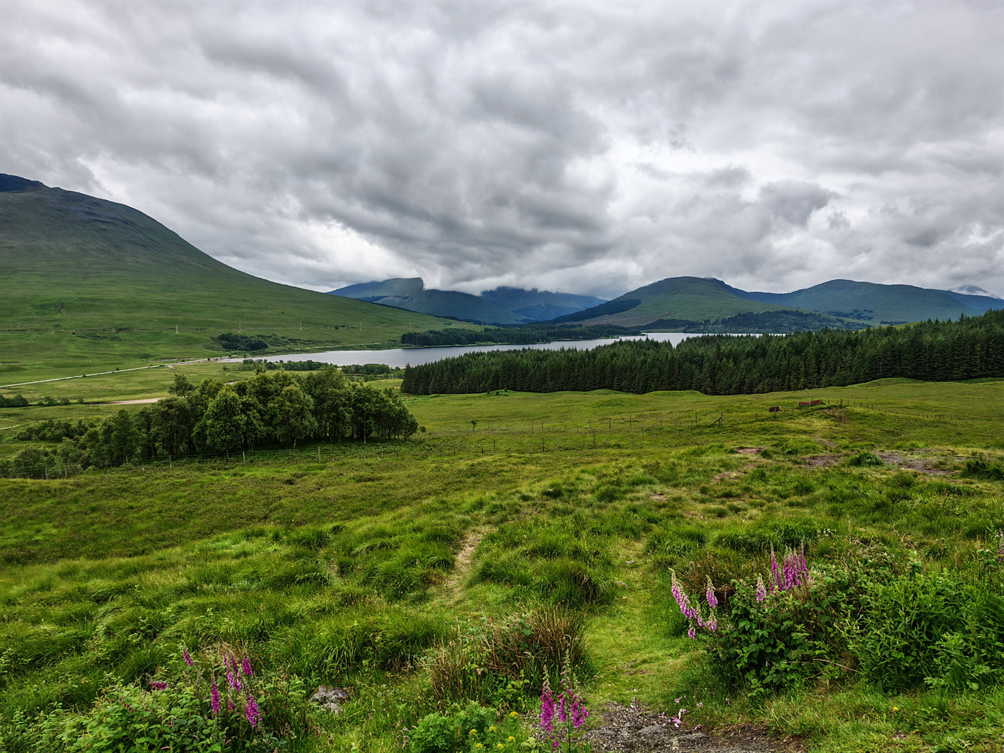 Loch Ness Day Tour from Edinburgh