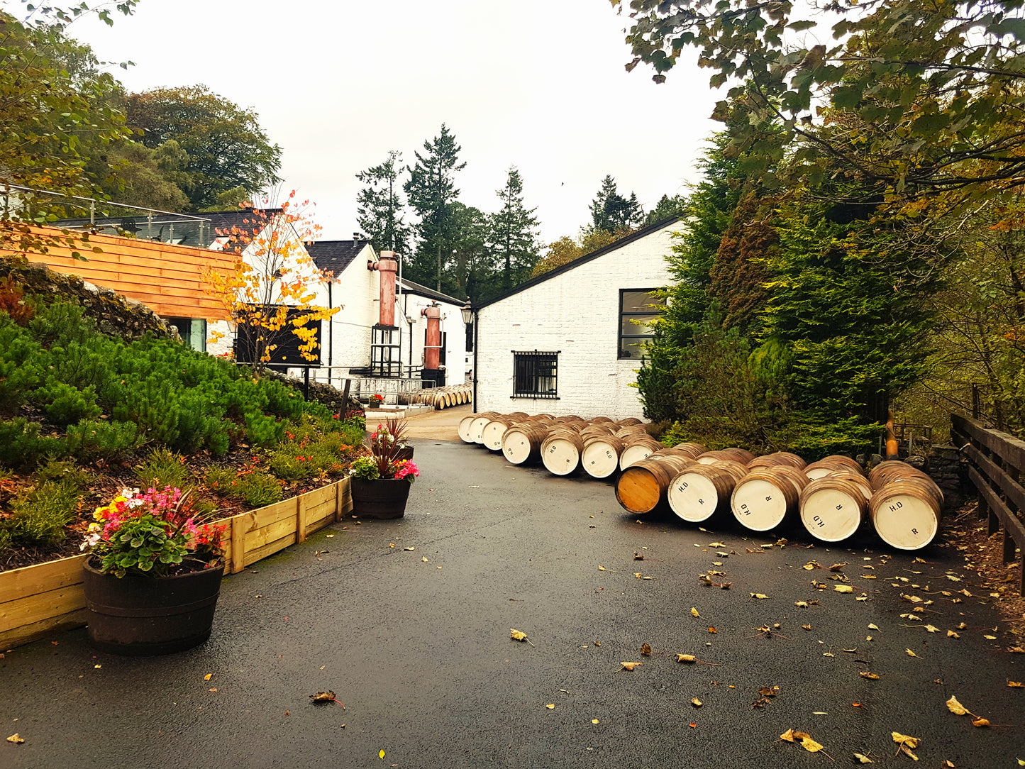 Scottish Castles & Whisky Tours